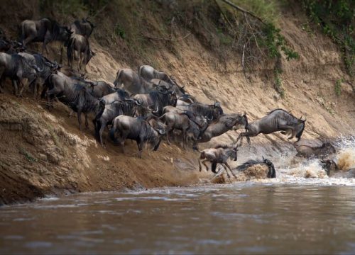 My 3-Day Safari Adventure in the Iconic Maasai Mara
