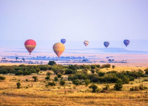 Maasai Mara
