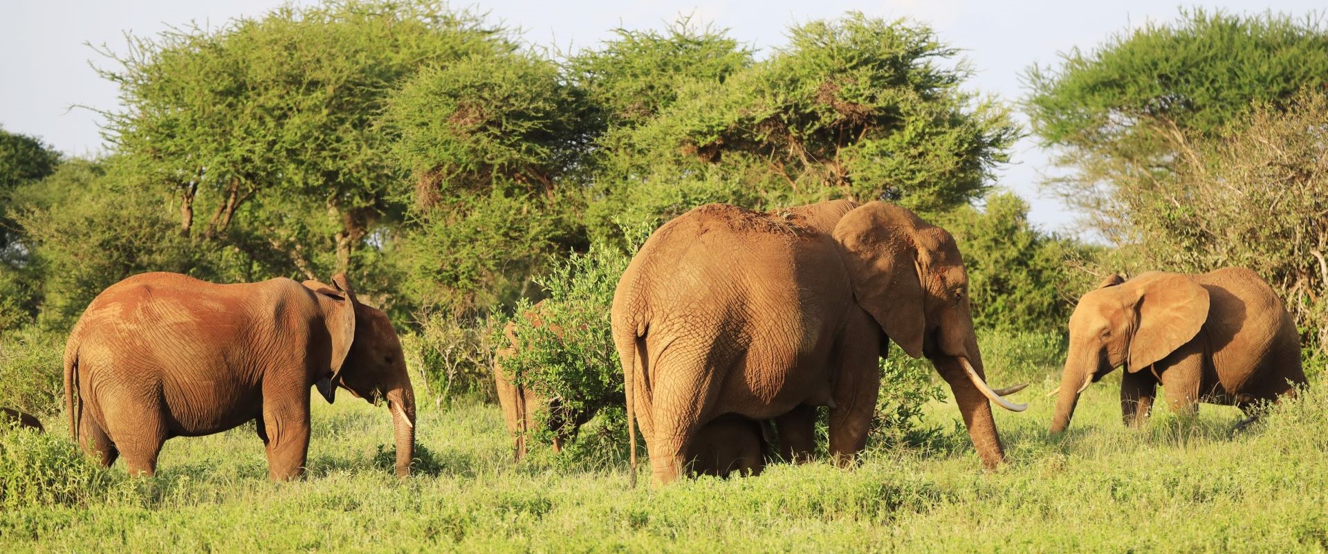 3 DAYS 2 NIGHTS SAMBURU GAME RESERVE ROAD SAFARI