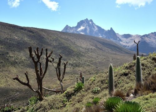 Mt. Kenya