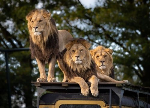 Nairobi National Park