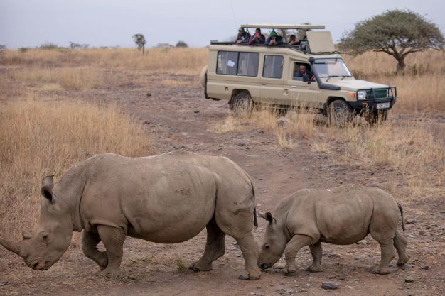 3 DAYS TSAVO WEST AND TSAVO EAST NATIONAL PARK SAFARI