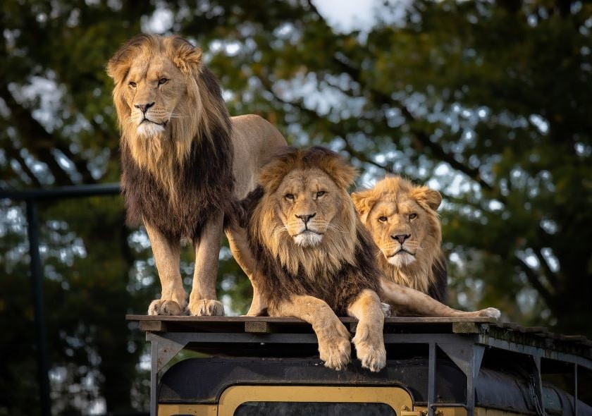 Nairobi, Kenya