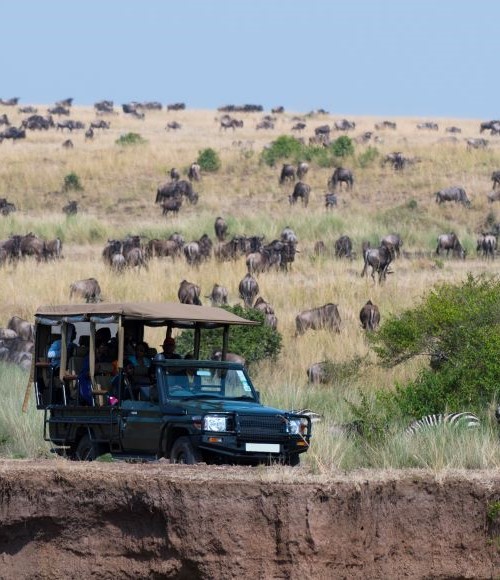 Maasai Mara