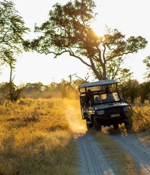 Tsavo National Park