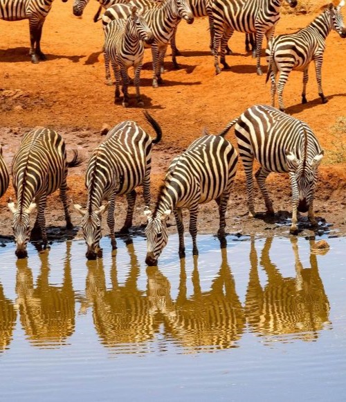 3-Days Tour to Tsavo East & West